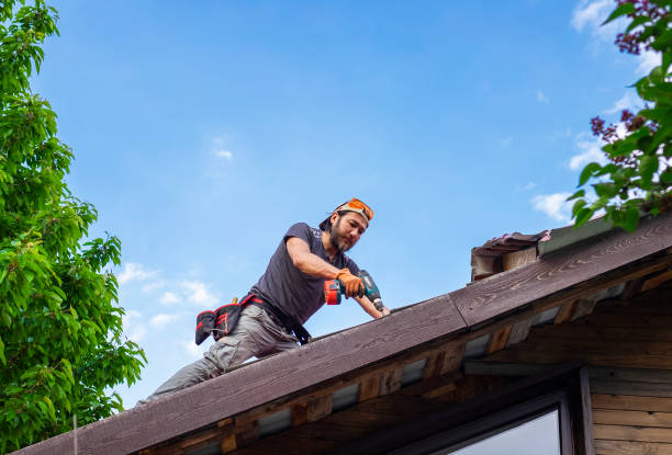 Best Emergency Roof Repair Services  in Lopezville, TX